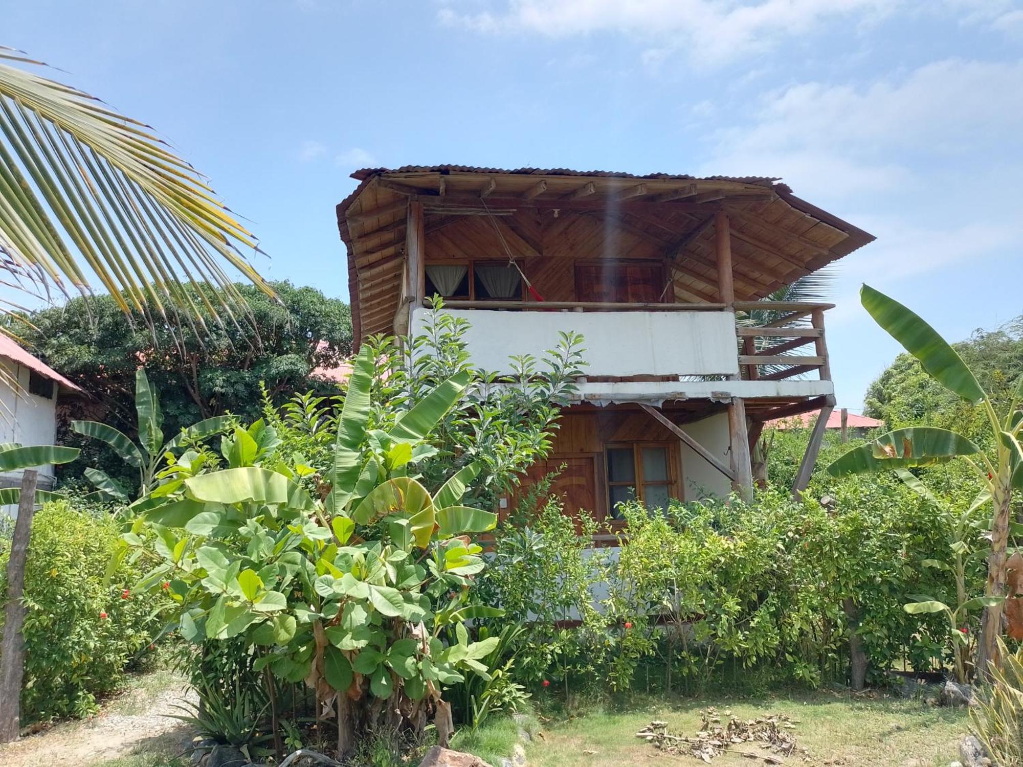 Hotel Palma Coco Ayampe Kültér fotó