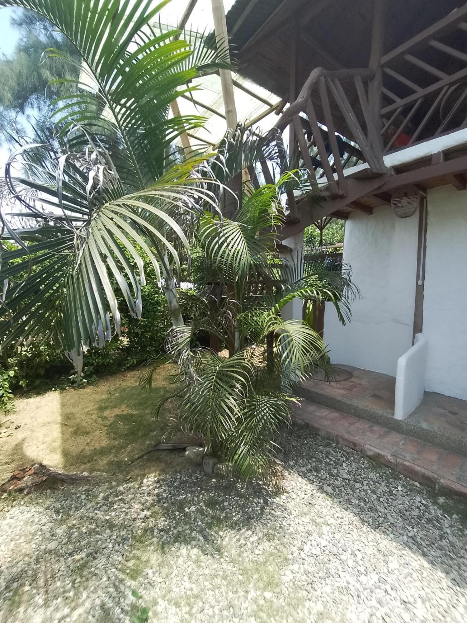 Hotel Palma Coco Ayampe Kültér fotó